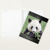 Carnet Photo panda géant, animaux 03. carnet (Devant avec enveloppe)