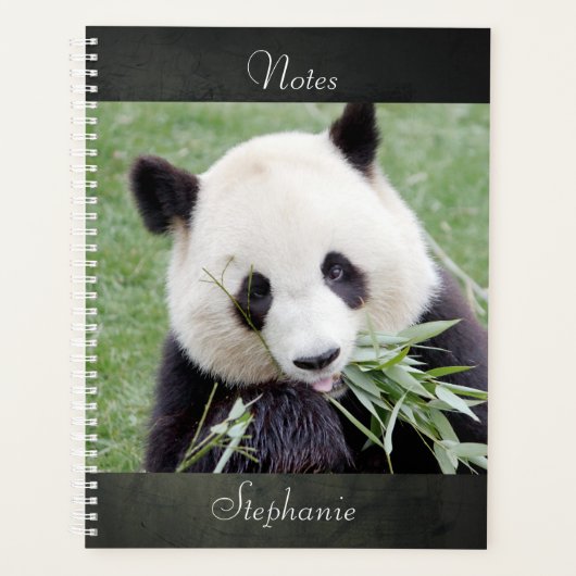 Carnet Photo panda géant, animaux 03. carnet (Devant)