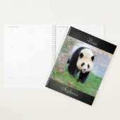 Carnet Photo panda géant, animaux 05. carnet (Devant avec enveloppe)