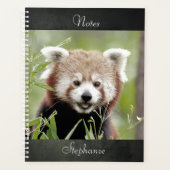 Carnet Photo panda rouge, animaux 01. carnet (Devant)