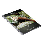 Carnet Photo panda rouge, animaux 0437. (Côté Droit)