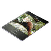 Carnet Photo panda rouge, animaux 0437. (Côté gauche)