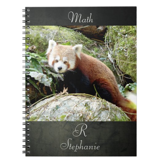 Carnet Photo panda rouge, animaux 0437. (Devant)