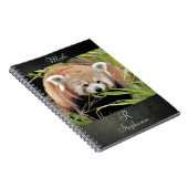 Carnet Photo panda rouge, animaux 0443. (Côté Droit)