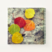 Carnet Photo personnalisé de feuilles de tremble colorées (Dos)