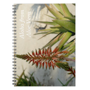Carnet photo Plante Aloha Aloe Vera