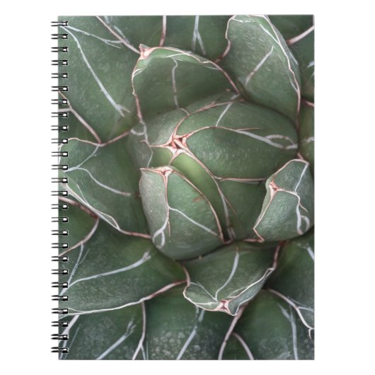 Carnet Photo Plante Succulent (80 Pages B&W) (Devant)