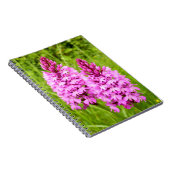 Carnet photo pyramidal de la spirale orchidée (Côté Droit)