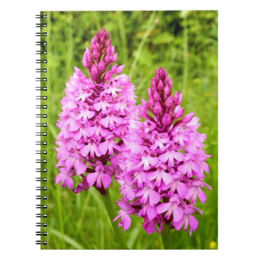 Carnet photo pyramidal de la spirale orchidée (Devant)