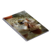 Carnet Photo Rainbow Trump (Côté Droit)