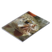 Carnet Photo Rainbow Trump (Côté gauche)