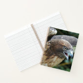 Carnet Photo Raptor Hawk à queue rouge (Intérieur)