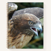 Carnet Photo Raptor Hawk à queue rouge (Devant)
