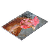 Carnet Photo Red Star Chicken Hen (Côté gauche)