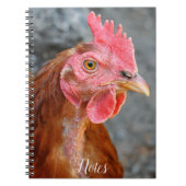 Carnet Photo Red Star Chicken Hen (Devant)