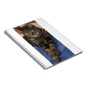 Carnet photo Regal Dave (80 Pages) (Côté Droit)