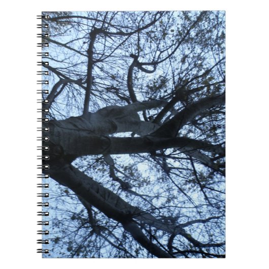 Carnet photo Silhouette Arbre (Devant)