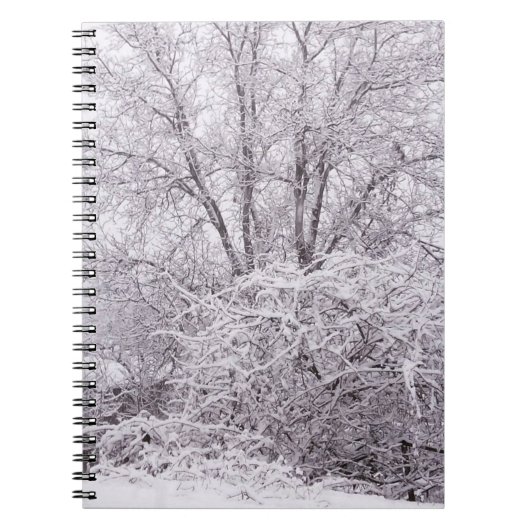 Carnet photo Snowy Scene (Devant)