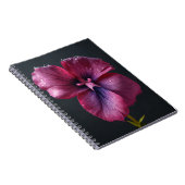 Carnet photo Spiral (Côté Droit)