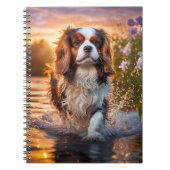 Carnet photo Spiral (Devant)