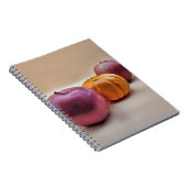 Carnet photo Spiral (Côté Droit)