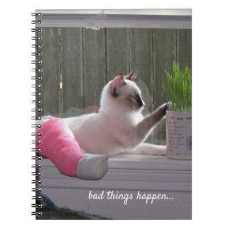 Carnet photo Spiral