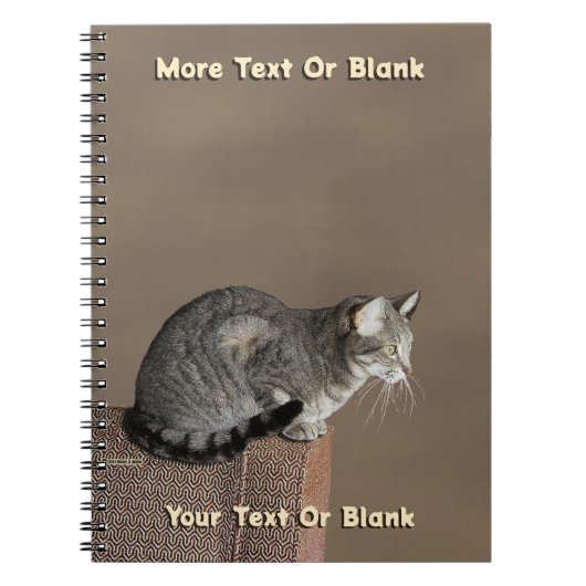 Carnet photo Spiral (Devant)