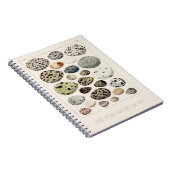 Carnet PHOTO SPIRALE : OISEAUX VINTAGES GRAPHIQUE  (Côté Droit)