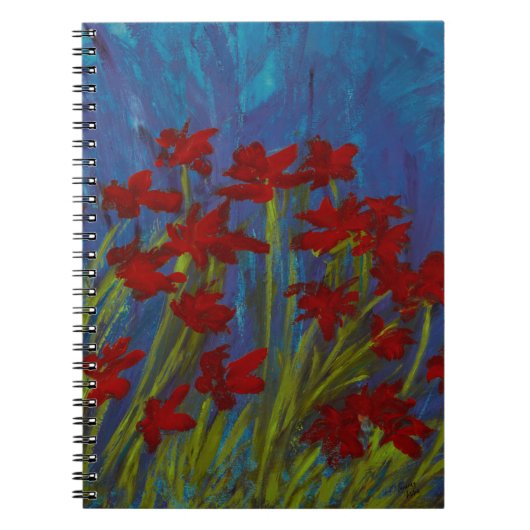 Carnet photo Stella Spiral (Devant)