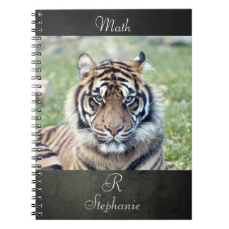 Carnet Photo tiger, animaux 0255.