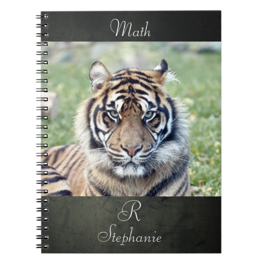 Carnet Photo tiger, animaux 0255. (Devant)