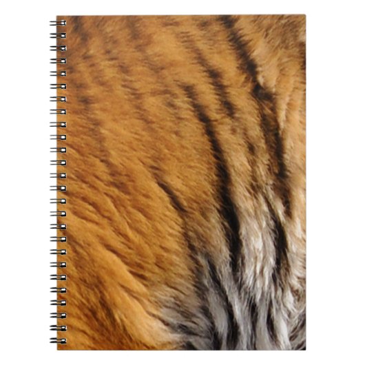 Carnet Photo Tiger Stripes Big Cat Wildlife (Devant)