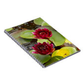 Carnet photo Water Lily (Côté Droit)