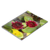 Carnet photo Water Lily (Côté gauche)