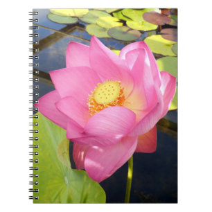Carnet photo Water Lily