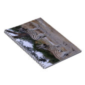 Carnet Photo Zebra Double Take (Côté Droit)