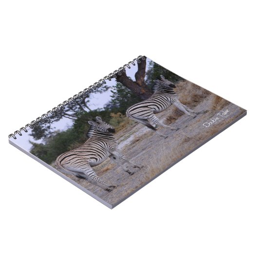 Carnet Photo Zebra Double Take (Côté gauche)