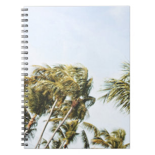 CARNET PHOTOGRAPHIE À FAIBLE ANGLE DES COCOTIERS VERTS SO