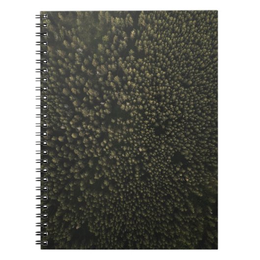 Carnet Photographie aérienne de grands arbres verts (Devant)