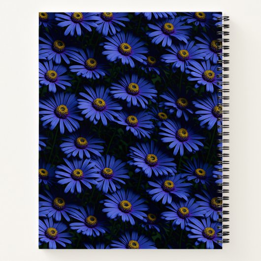 Carnet Photographie Blue Asters (Dos)