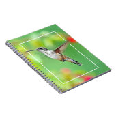Carnet Photographie de colibri (Côté Droit)