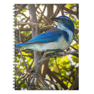 Carnet Photographie de faune et de flore de Californie Ge