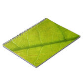 Carnet Photographie de la nature botanique de la feuille  (Côté gauche)