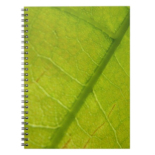 Carnet Photographie de la nature botanique de la feuille  (Devant)