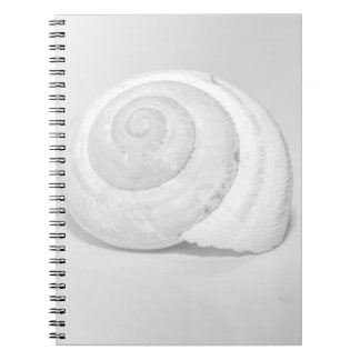 Carnet Photographie de la nature minimaliste de coquille