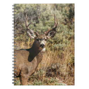 CARNET PHOTOGRAPHIE DE LA VIE SAUVAGE DE BUCK BROWN