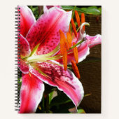 Carnet Photographie de Lilium 'Stargazer' (Devant)