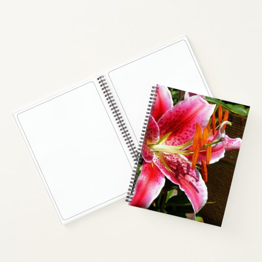 Carnet Photographie de Lilium 'Stargazer' (Intérieur)