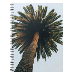 Carnet Photographie de l'oeil de ver de palmier