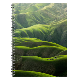 CARNET PHOTOGRAPHIE DE L'OISEAU DES MONTAGNES VERTES